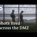 North and South Korea exchange gunfire across demilitarized zone | DW News