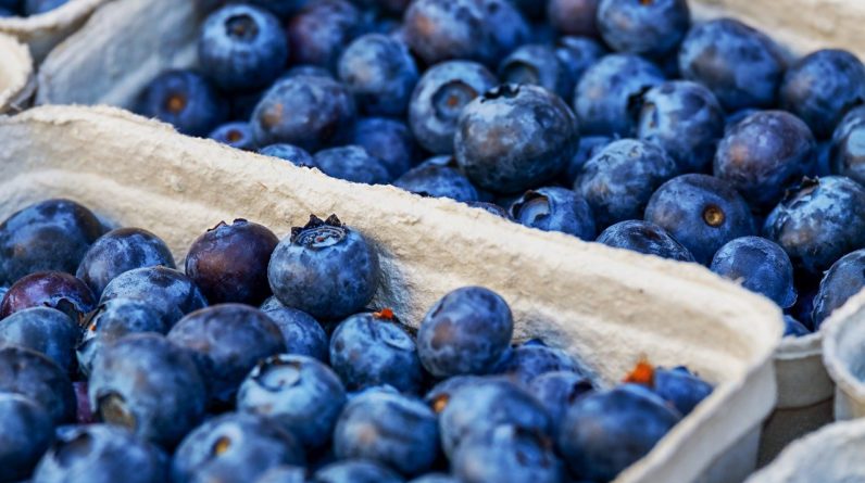 blueberries and anti aging
